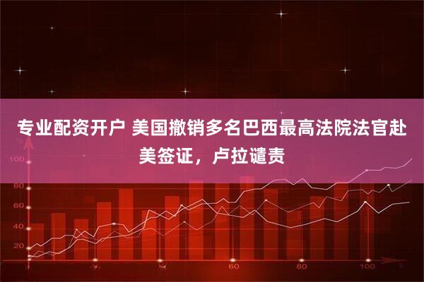 专业配资开户 美国撤销多名巴西最高法院法官赴美签证，卢拉谴责