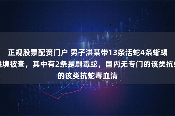 正规股票配资门户 男子洪某带13条活蛇4条蜥蜴从广东进境被查，其中有2条是剧毒蛇，国内无专门的该类抗蛇毒血清